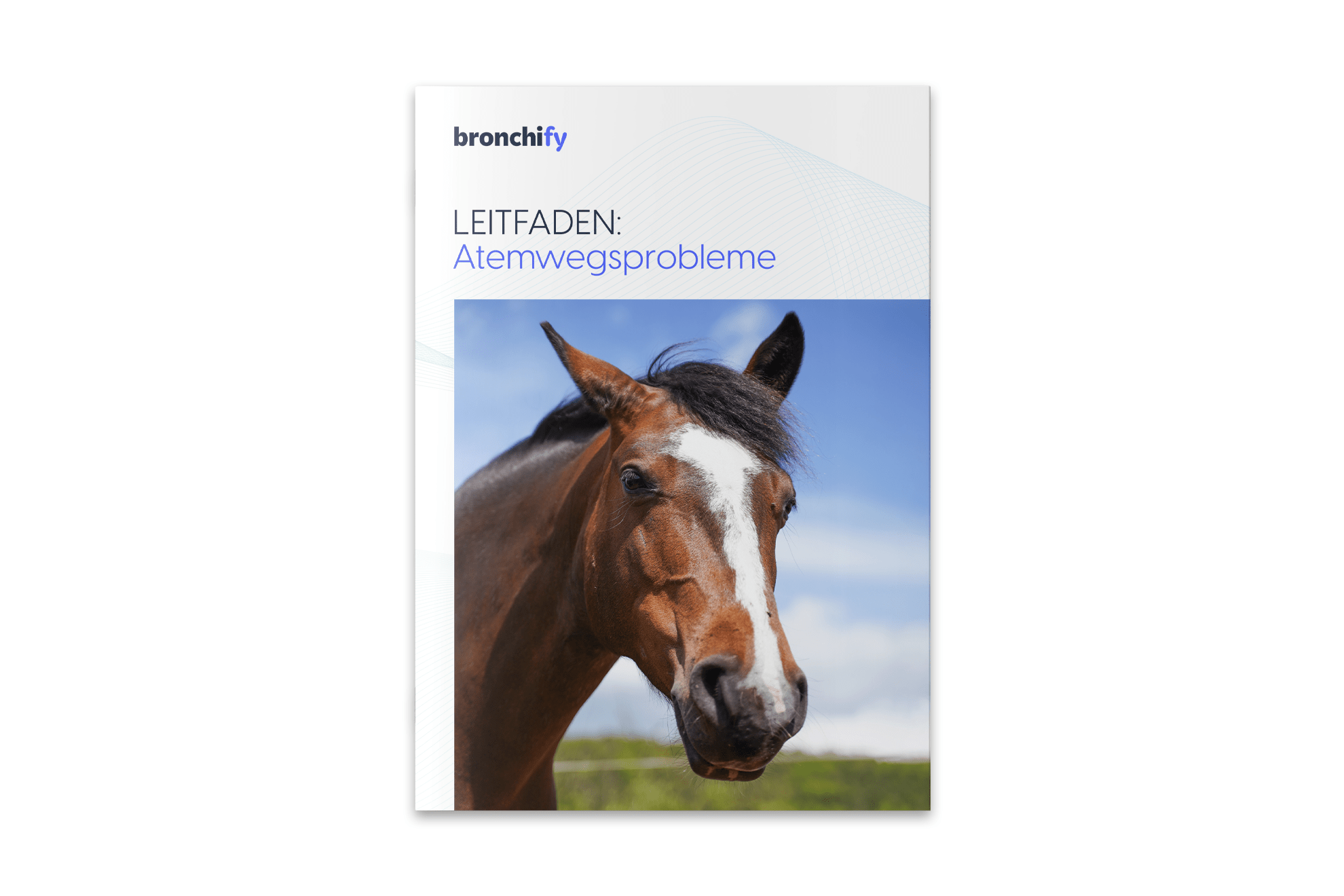Leitfaden Atemwegsprobleme zum Download