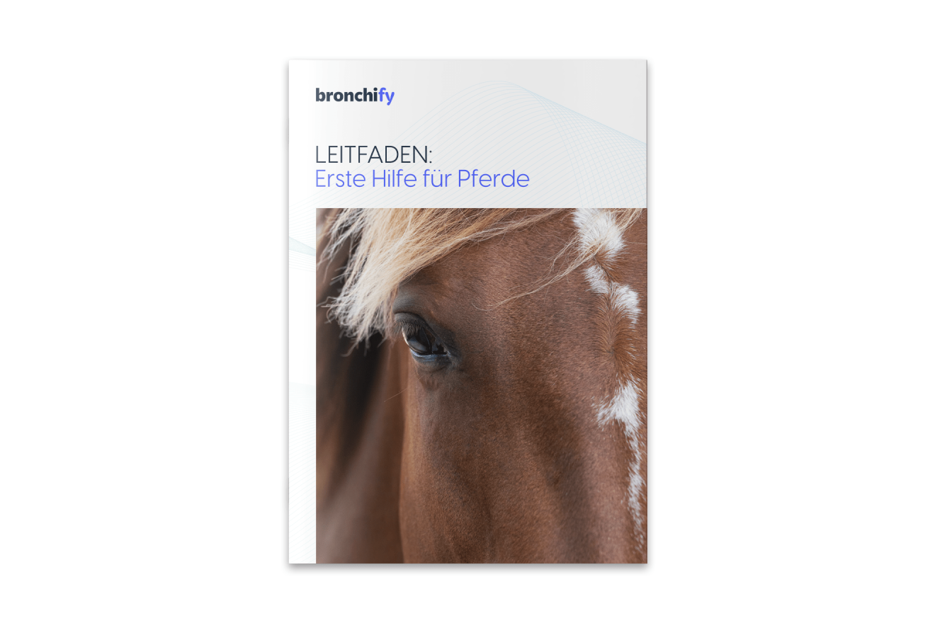 Leitfaden Erste Hilfe für Pferde zum Download