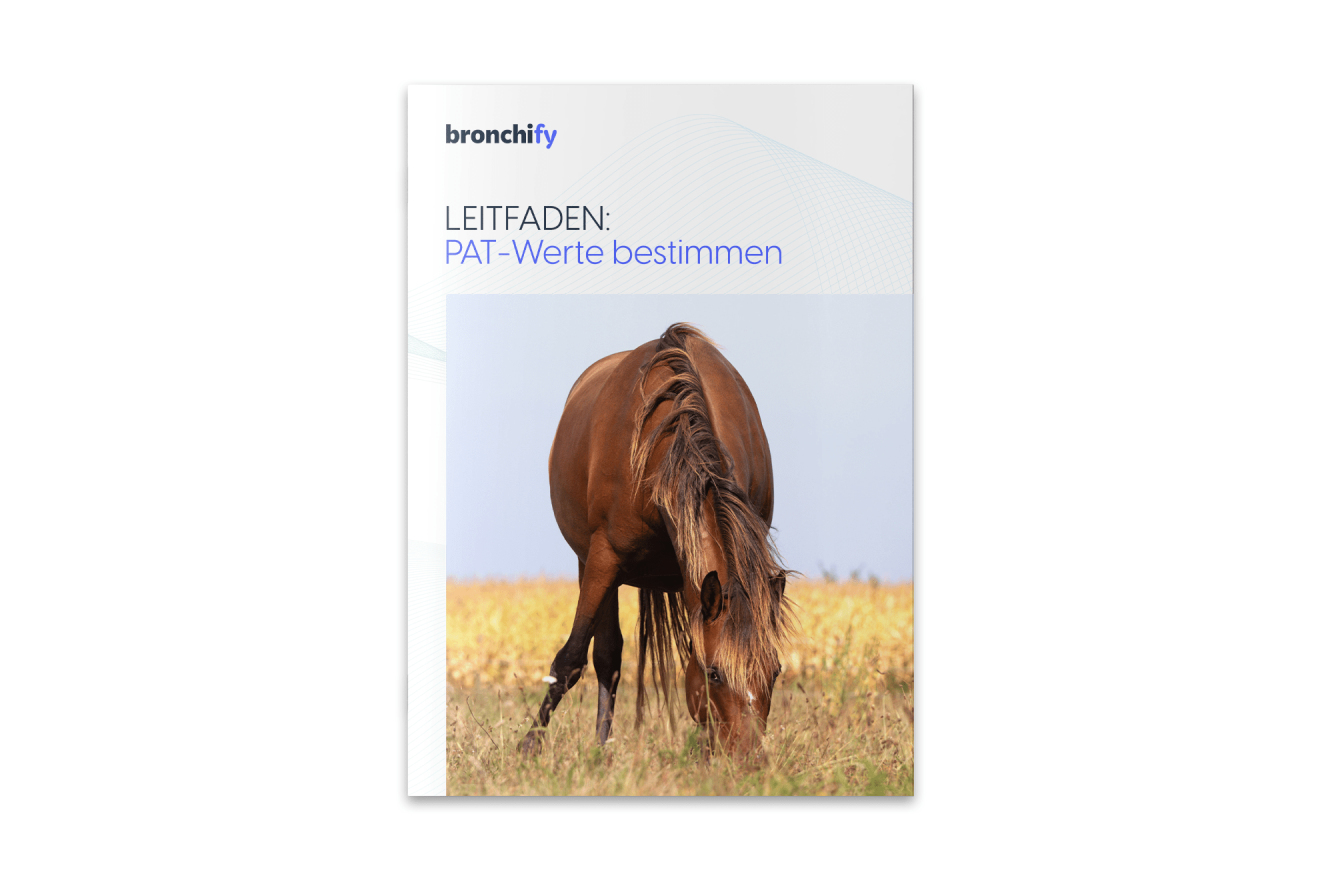 Leitfaden PAT-Werte zum Download