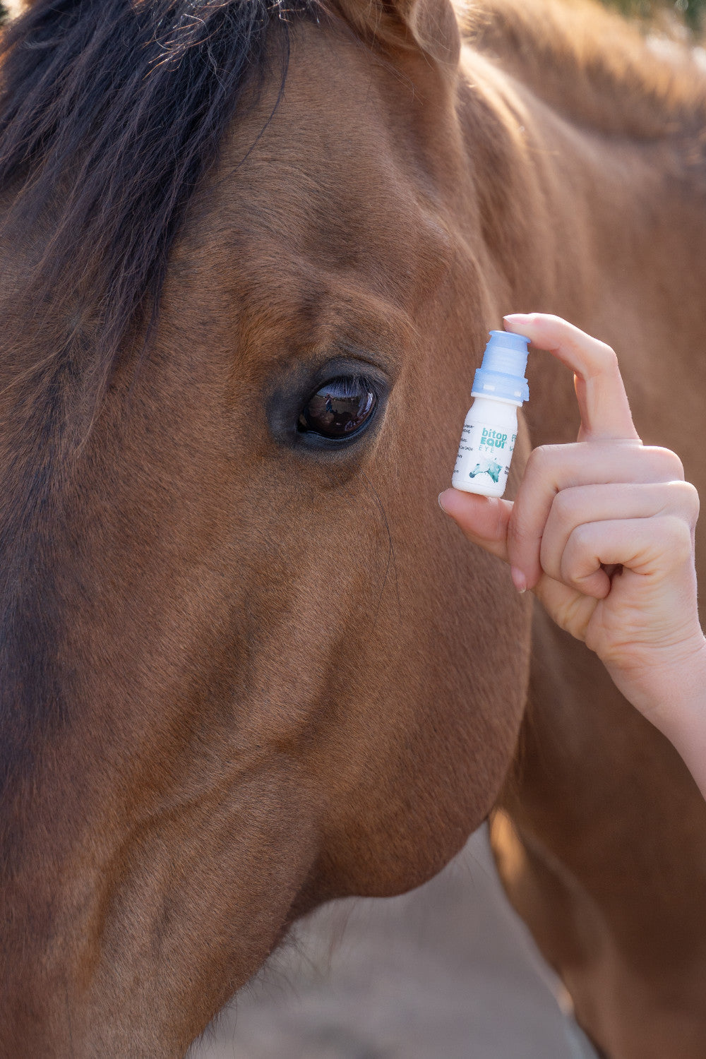 bitopEQUI® EYE Drops - Augentropfen für dein Pferd